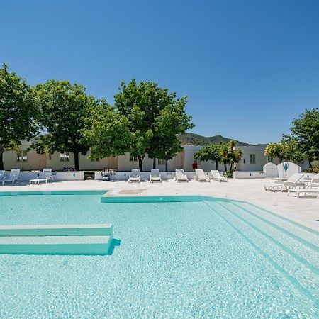 Hotel Le Mimose San Teodoro  Zewnętrze zdjęcie